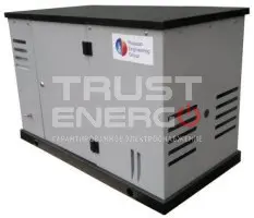 Газовый генератор REG GG16-230S В кожухе REG 999 trustenergo.ru