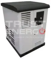 Газовый генератор REG GG14-230SV