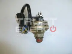 Датчик давления масла BF4M2012С/Oil pressure sensor 