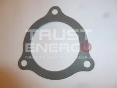 Прокладка топливного насоса высокого давления/Fuel injection pump gasket
