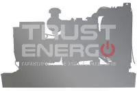 Электроагрегат дизельный TRUSTENERGO АД-50С-T400-1Р-WG Weifang  trustenergo.ru