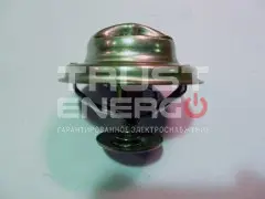 Термостат TDY 25 4L (T=76C)/Thermostat